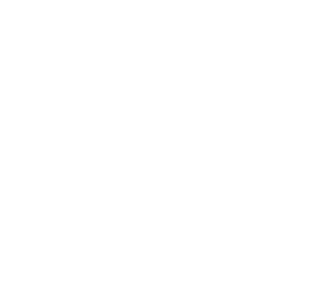 NIT-Logo
